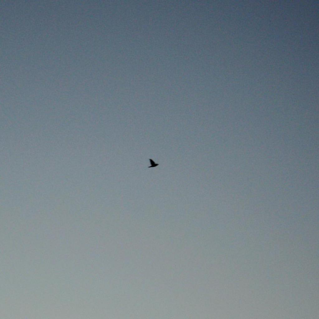 gracia bejjani ecriture texte photo