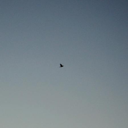 gracia bejjani ecriture texte photo