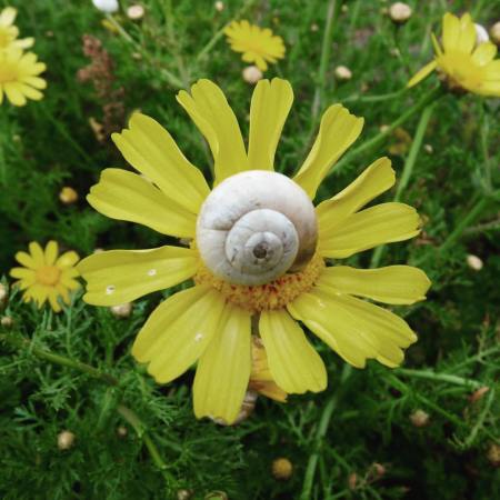 gracia bejjani ecriture texte photo