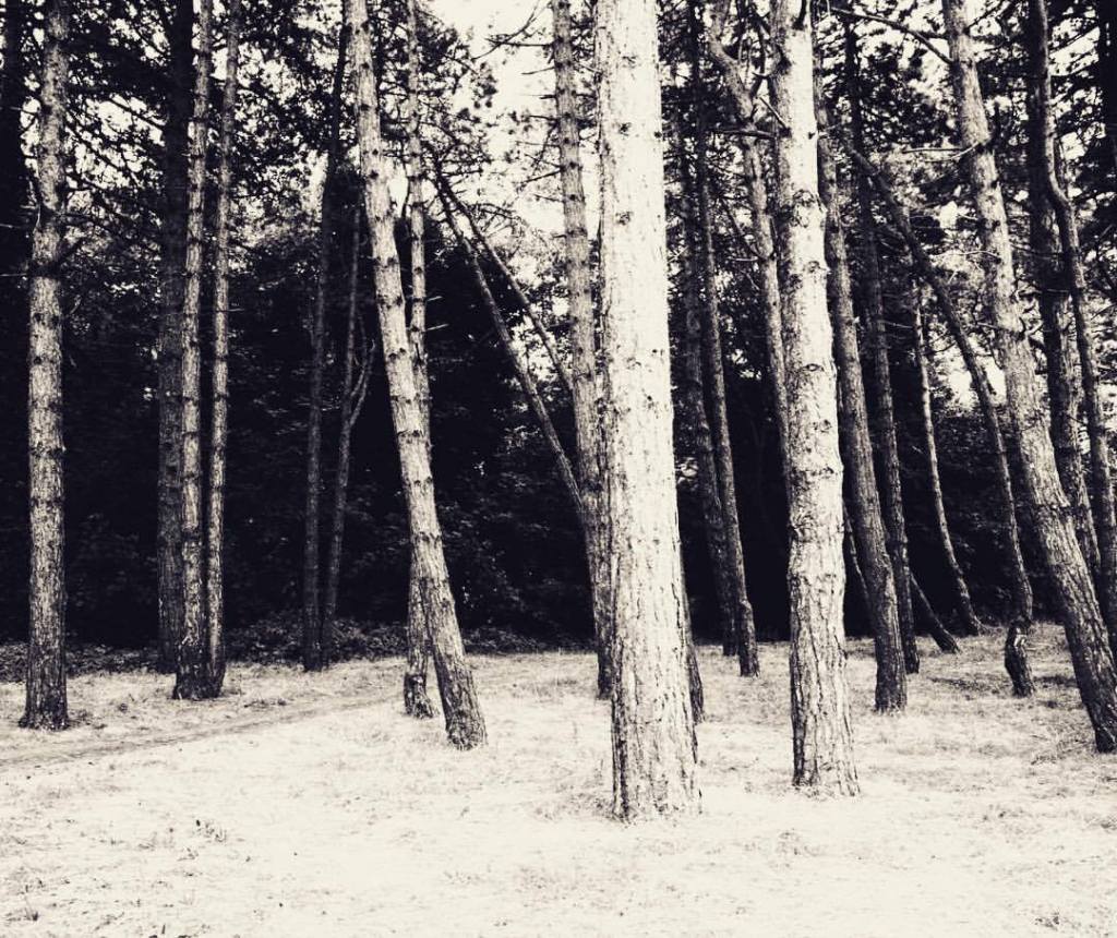 gracia bejjani ecriture texte photo