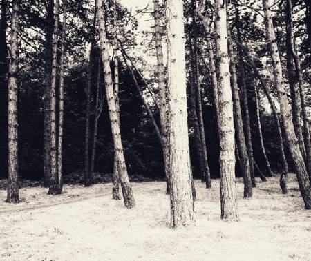 gracia bejjani ecriture texte photo