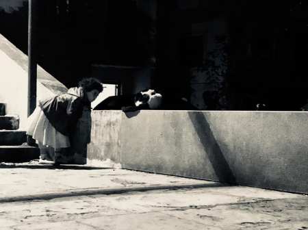 street-art terre origines exil gracia bejjani photo Liban poeme poesie texte litterature ecriture