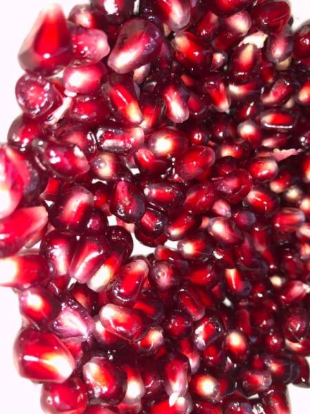 nourriture origines exil gracia bejjani photo Liban poeme poesie texte litterature ecriture