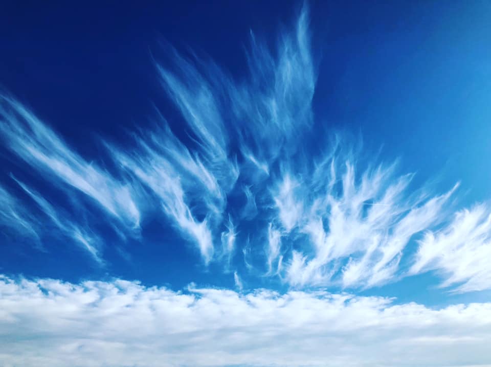 gracia bejjani ecriture texte photo