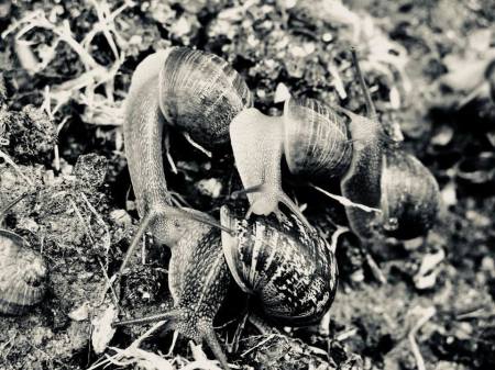 transport en commun paris foule