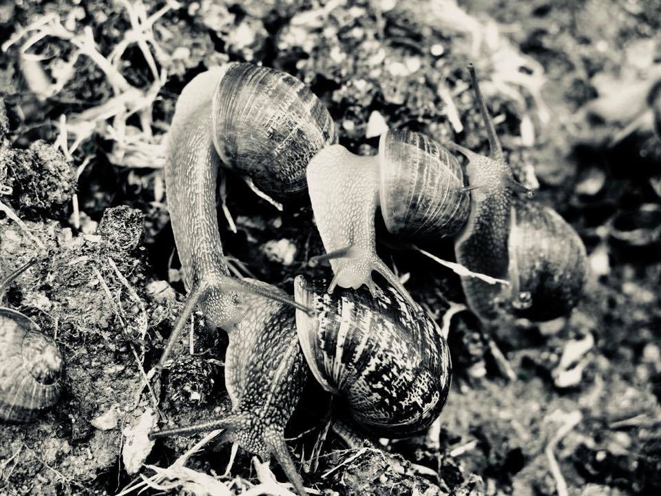 transport en commun paris foule