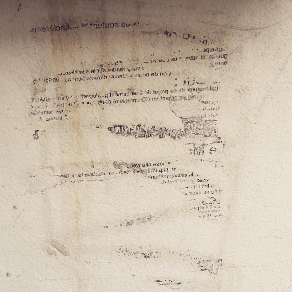 reel sens interprétation influence