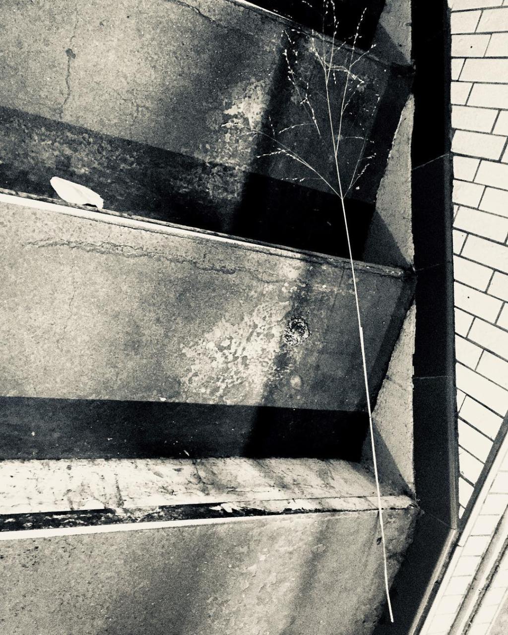 paris brutalité street-photo