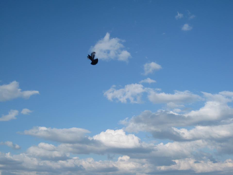 vol ciel street-photo seul