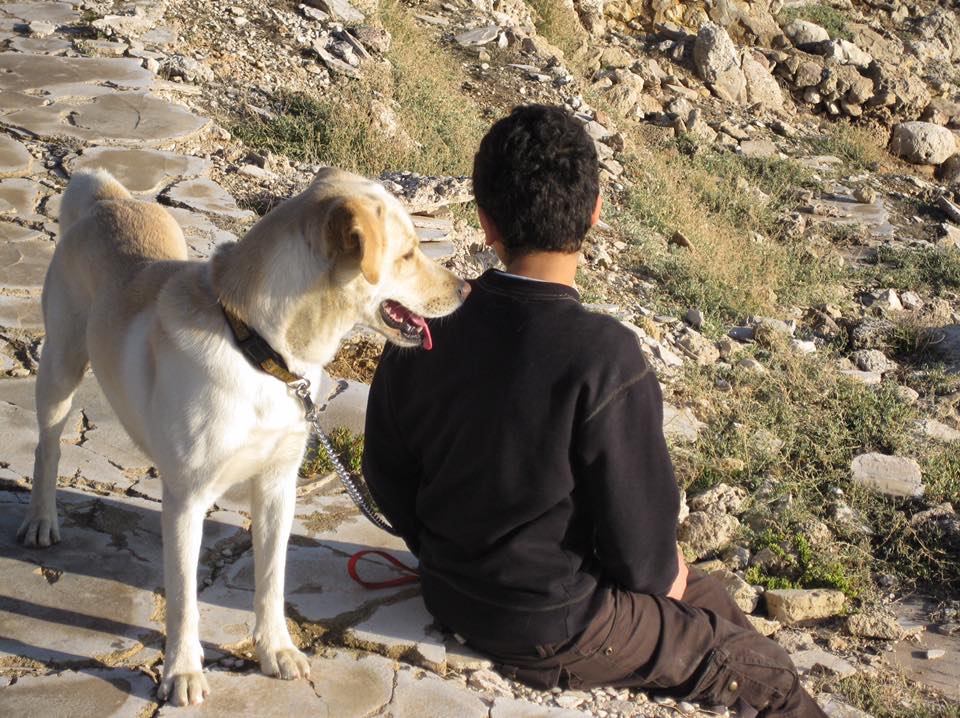 enfant et son chien montagne lien