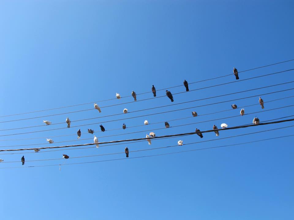 ciel notes musique rue