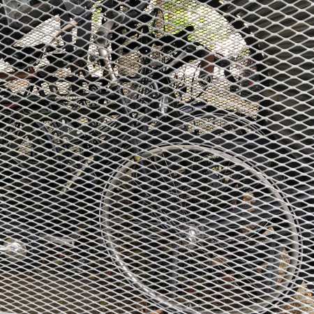 street photo enfance maltraitance