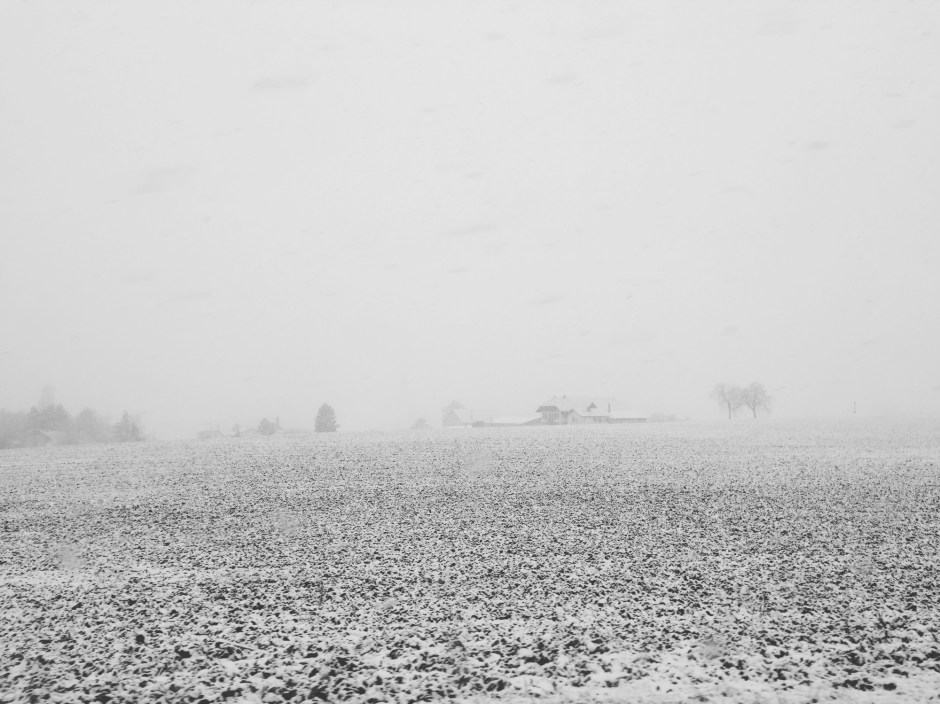 janvier 2026 |&nbsp;carnet